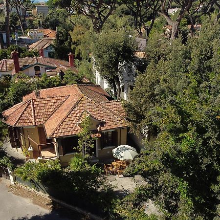 Exclusive Charming Villa - Free Parking 400 Mq Garden - Rome Airport - Roseto Villa Dream Fregenae Exteriér fotografie